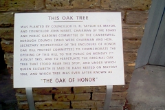 Southwark Honor Oak 02