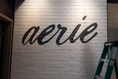 Aerie, Bramalea, Toronto, 2017