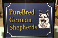 20200110_073831118_iOS-2-scaled